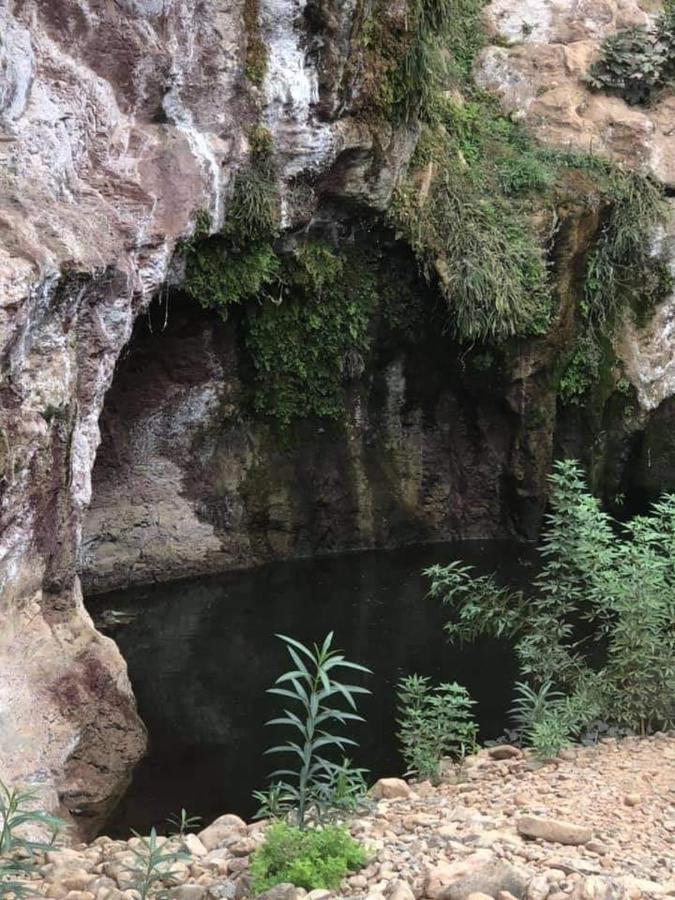 Riad Assia Foum Zguid Dış mekan fotoğraf
